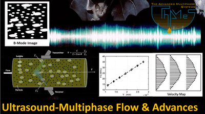 Imaging and flow velocity profile measurements of multiphase flows